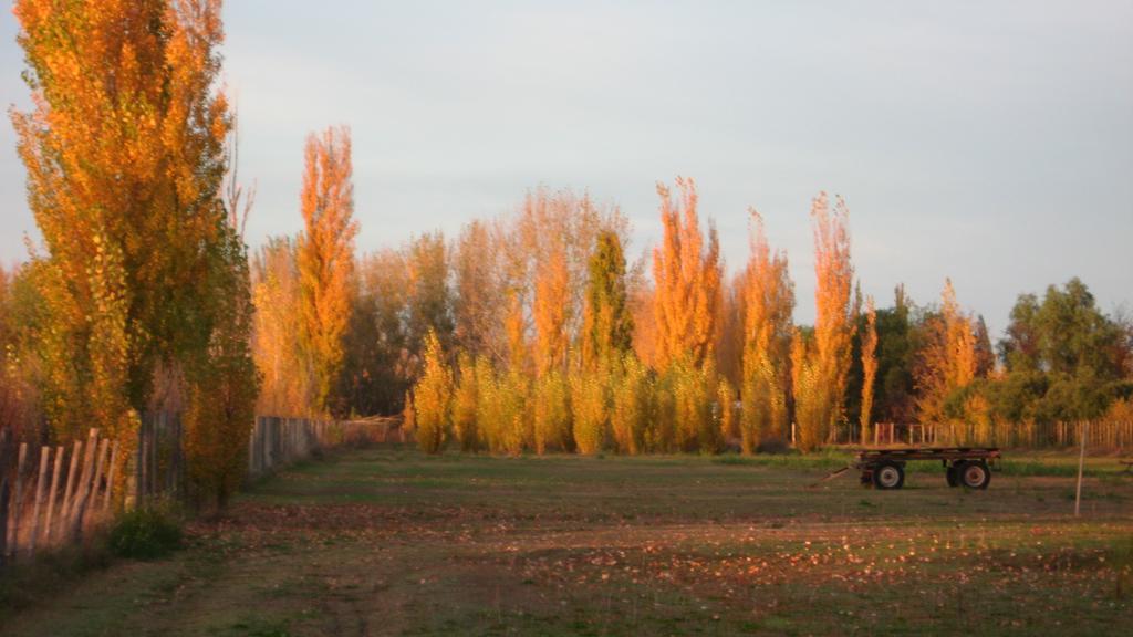 Posada Del Viajero San Rafael Dış mekan fotoğraf