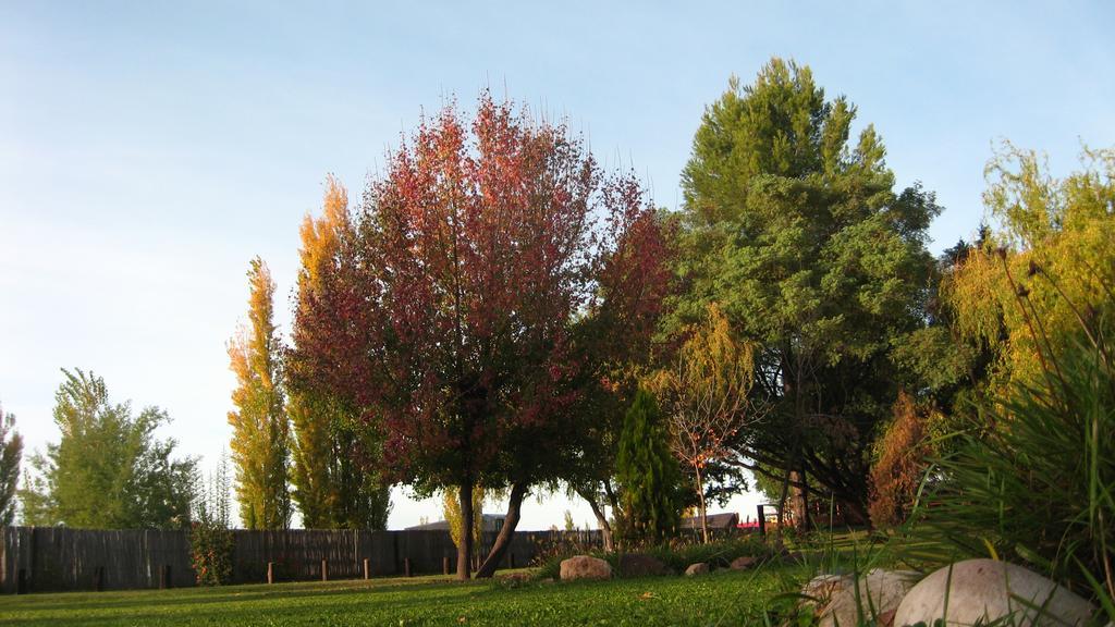 Posada Del Viajero San Rafael Dış mekan fotoğraf