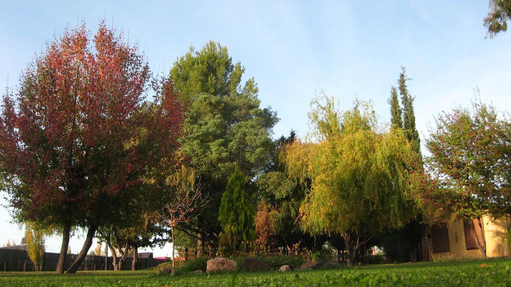 Posada Del Viajero San Rafael Dış mekan fotoğraf