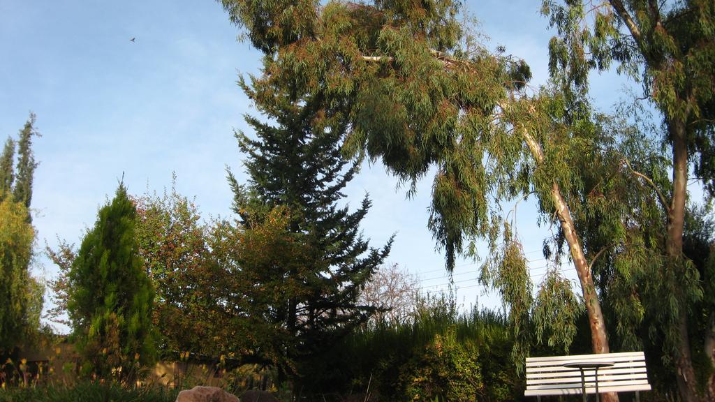 Posada Del Viajero San Rafael Dış mekan fotoğraf