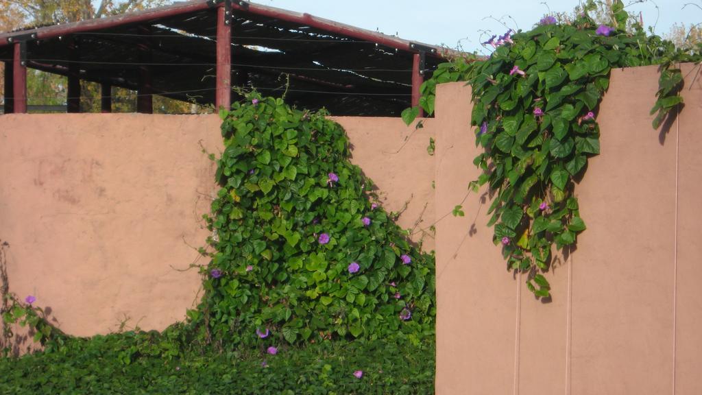 Posada Del Viajero San Rafael Dış mekan fotoğraf