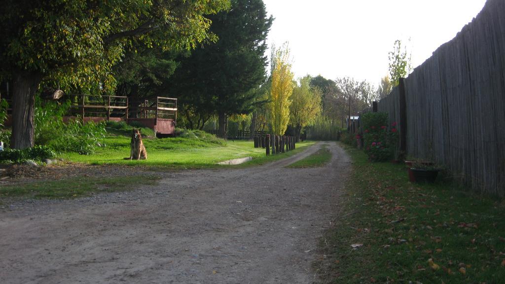 Posada Del Viajero San Rafael Dış mekan fotoğraf