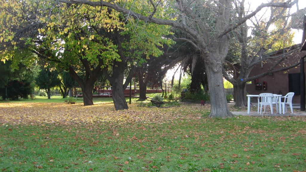 Posada Del Viajero San Rafael Dış mekan fotoğraf
