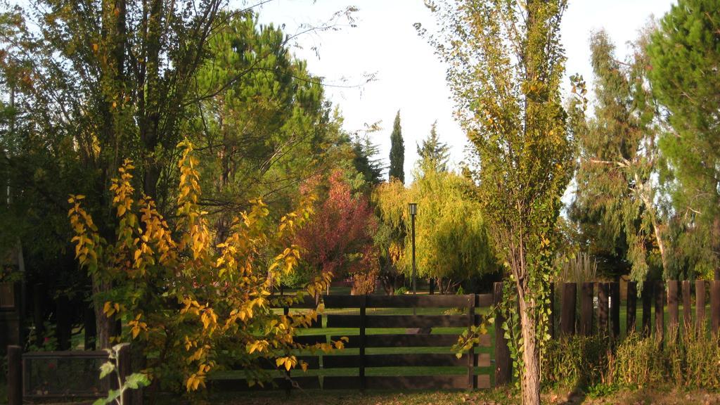 Posada Del Viajero San Rafael Dış mekan fotoğraf